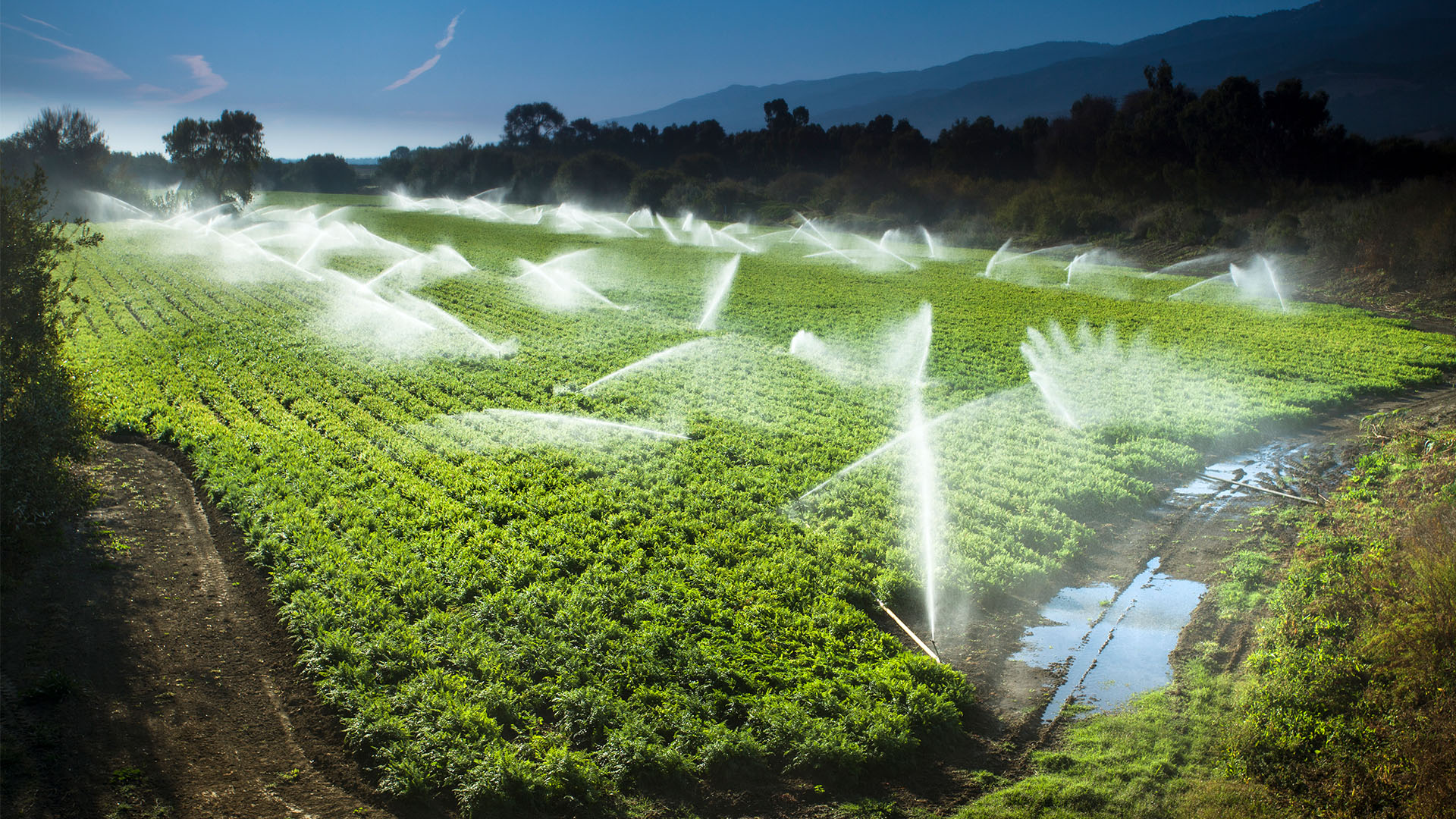 Irrigation blowouts are critical for winterizing lawns without having a serious pipe freezing issue throughout the season.