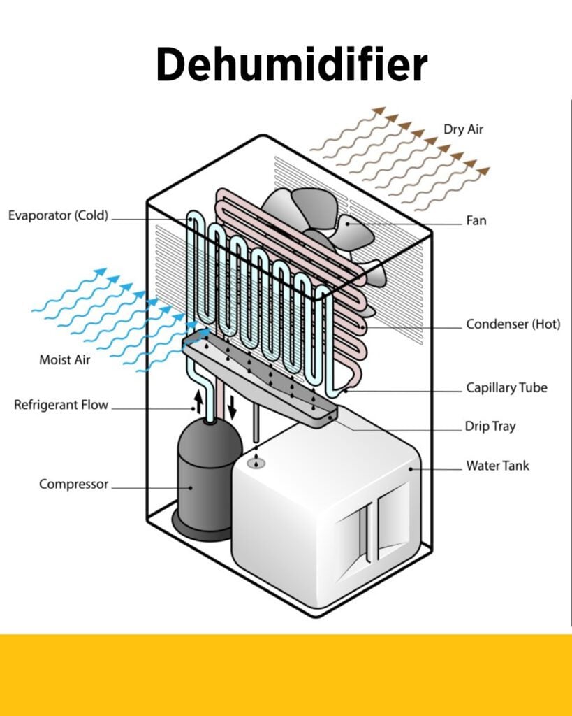 The parts of a dehumidifier are labeled to show how moist air moves through the piece of equipment, ultimately pushing out dry air.