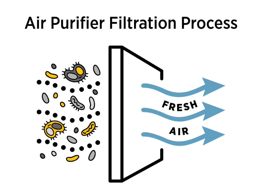 When comparing an air purifier vs. air scrubber, it's important to know how an air purifier filters contaminants. An infographic depicts the air purifier filtration process.